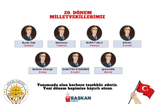 20. Dönem Milletvekili Sonuçları.png