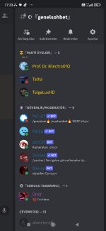 Screenshot_2023-12-04-17-33-55-489_com.discord.jpg