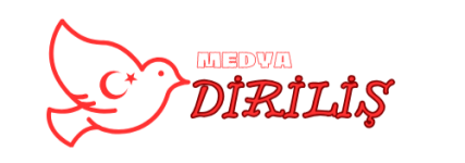 IMG_20231217_225908.png IMG_20231217_225908.png