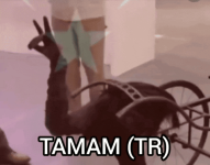 tamam-tr.png