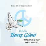 Mavi Sade Dünya Barış Günü Instagram Gönderisi (1).jpg