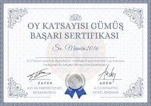 Gümüş Sertifika _20250418_234802_0000.png