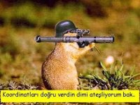 images (7).jpeg