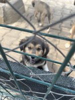 IMG_0866.jpeg