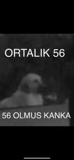 IMG_4610.png