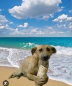 1000067751.jpg 1000067751.jpg